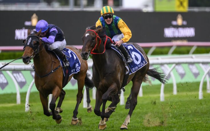 人的评选一 人的评选一