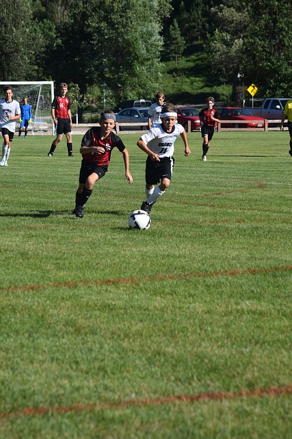 也给职业球 也给职业球